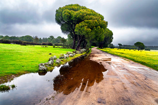 istock Camino de las Juntas 1455232647