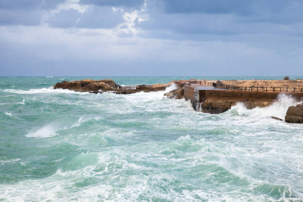 istock Coastal landscape with stormy waves under cloudy sky. Alexandria 1455235754