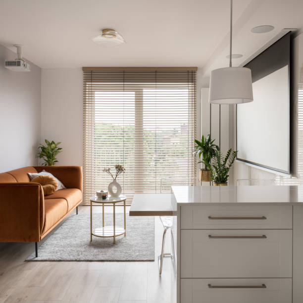 istock Small and stylish living room with projector and screen 1455236071