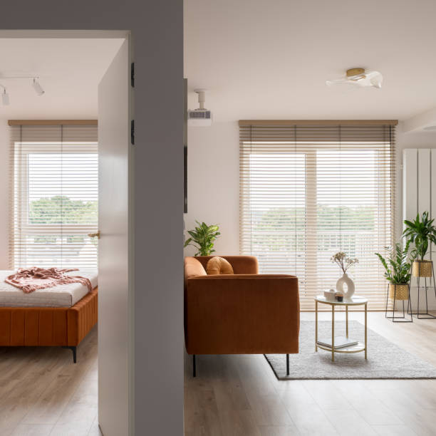istock Elegant flat with bedroom next to living room 1455236077