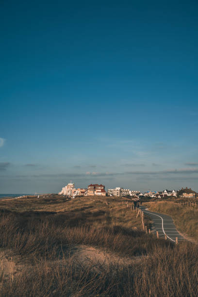 istock Dune road towards beach town 1455238996
