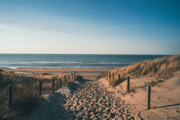 istock Sand path towards the sea 1455239008