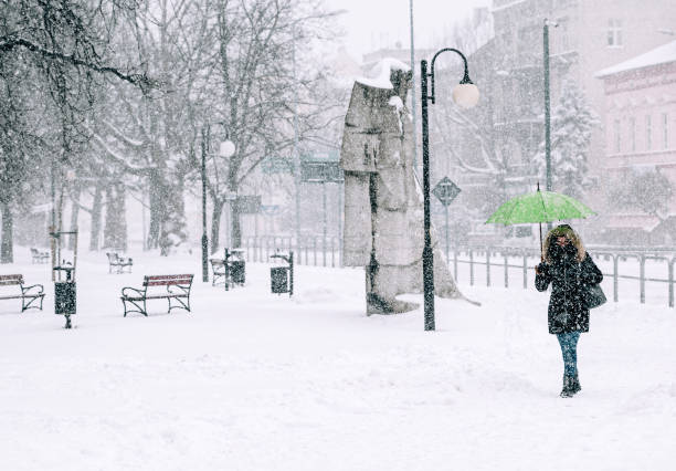 istock City park covered with snow in winter 1455239142