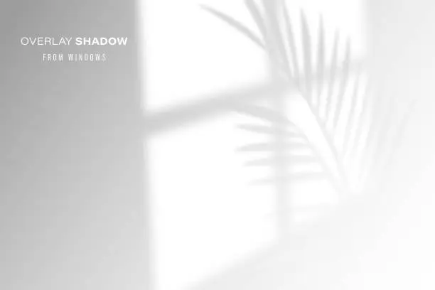 Vector illustration of Shadow overlay effect of room window pane