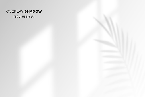 istock Shadow overlay effect of room window pane 1455242710