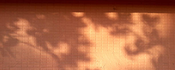istock Tropical leaves natural shadow overlay on orange cement wall texture background or backdrop. Resort, spa, massage, holiday and travel background. 1455244057