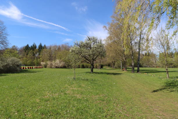 istock The park on a sunny day 1455244237
