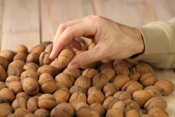istock walnut in the fingers of a person's 1455247253