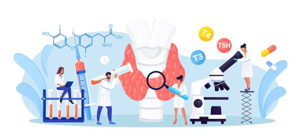 ilustrações de stock, clip art, desenhos animados e ícones de endocrinologists diagnose and treat human thyroid gland. doctors make blood test on hormones. hypothyroidism, hyperthyroidism concept. thyroid examination. health and medical treatment - ultrasound cancer healthcare and medicine thyroid gland