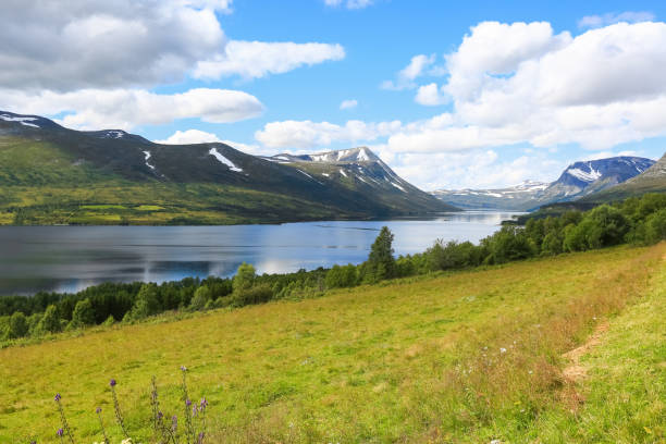 istock Summer  at the lake Gjevilvatnet, Norway 1455247269