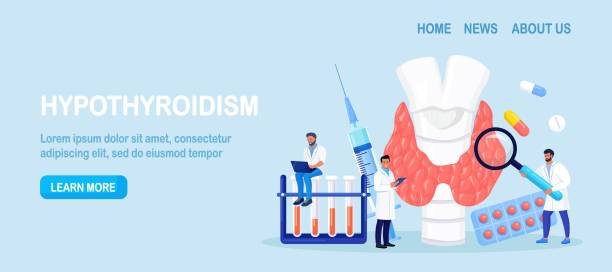 ilustrações de stock, clip art, desenhos animados e ícones de endocrinologists diagnose and treat human thyroid gland. doctors make blood test on hormones. hypothyroidism, hyperthyroidism concept. thyroid examination. health and medical treatment - ultrasound cancer healthcare and medicine thyroid gland