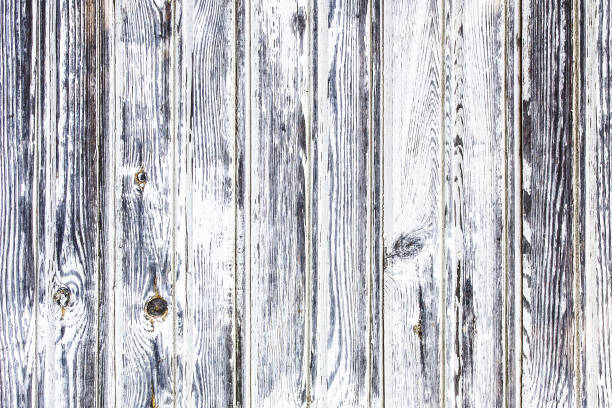 istock Peeling paint texture. White wood background. Paint desk texture. Cracked wooden wall pattern. 1455247883