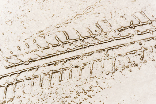 Tractor tire trail on the sand in Turkey.