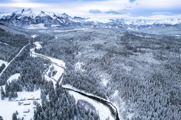 istock Winter landscape, snowy forest, mountains and frozen river. Drone view 1455250491