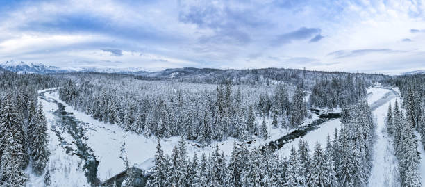 istock Snowy mountains and forest, aerial drone winter landscape 1455250565