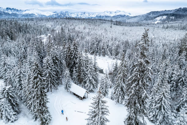 Man walk dog in winter forest and snowy mountains.