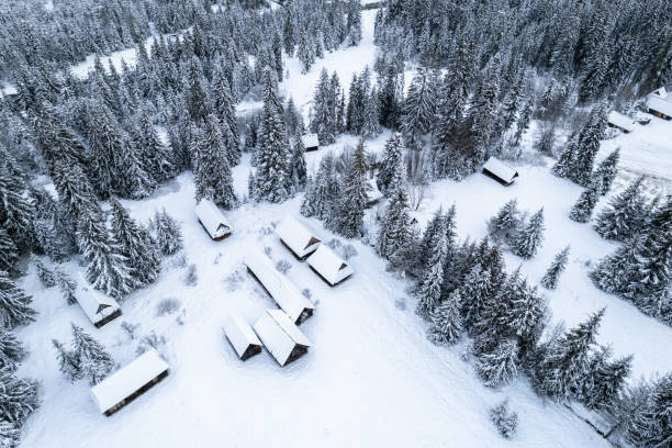 istock Snowy mountains and forest, aerial drone winter landscape 1455250779