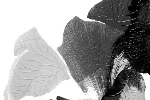 istock black white abstract acrylic painting color texture on white paper background by using rorschach inkblot method 1455252040