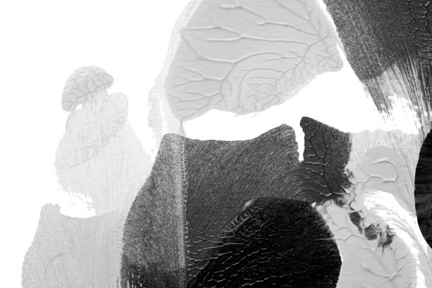 istock black white abstract acrylic painting color texture on white paper background by using rorschach inkblot method 1455252043