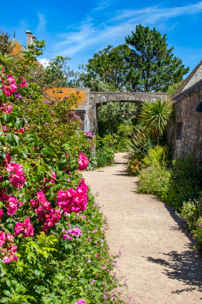 istock Saint-Vaast-la-Hougue. Flowery path. Manche. Normandy 1455259515