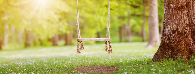 Empty swing hanging in the park in spring. Beautiful background of the natural park.