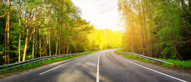 istock Beautiful background of the asphalt road in spring. 1455259904