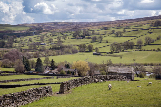 Looking down a farmland in the village of Reeth in beautiful Yorkshire Dales