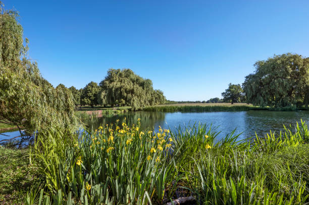 istock Home Park Pond Hampton Court 1455262323