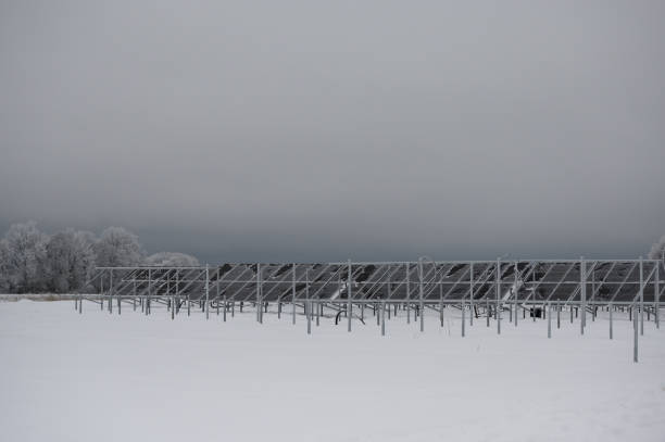 istock Solar panels in field on a grey cold winter day in rural scenery 1455262867