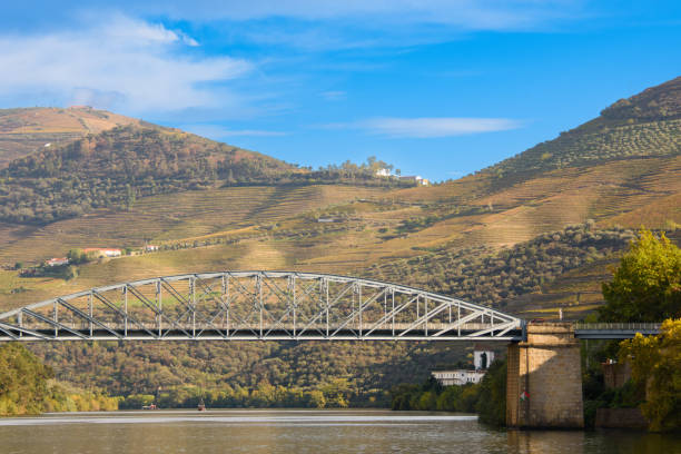 istock The douro valley at Pinhao 1455263151