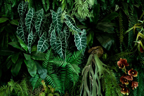 istock abstract green leaf texture, nature background, tropical leaf 1455264150