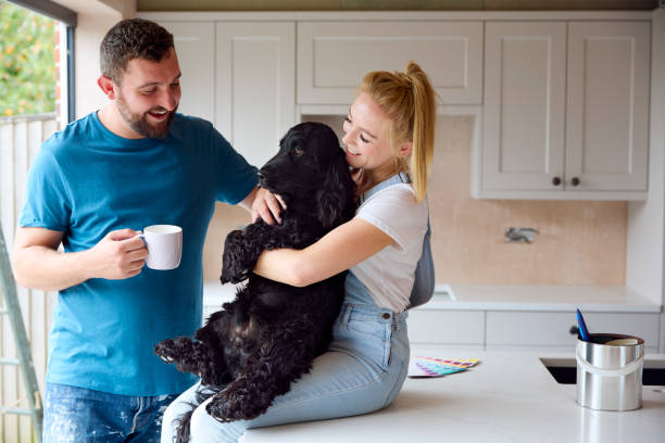 istock Couple On Coffee Break From Renovating Kitchen At Home Playing With Pet Spaniel Dog 1455265261