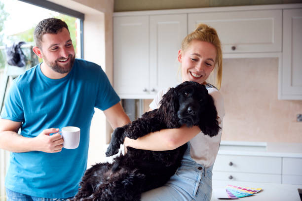 istock Couple On Coffee Break From Renovating Kitchen At Home Playing With Pet Spaniel Dog 1455265526