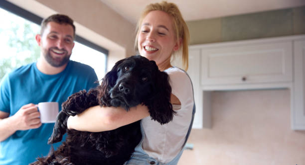 Couple On Coffee Break From Renovating Kitchen At Home Playing With Pet Spaniel Dog