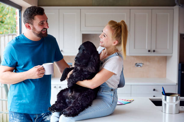 istock Couple On Coffee Break From Renovating Kitchen At Home Playing With Pet Spaniel Dog 1455266255