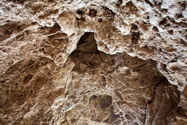 Deposits of the Taung Skull were blasted by lime workers from tufa deposits and Raymond Dart reconstructed sections of the skull in 1924. He identified them as  Australopithecus africanus, the first discovery of its kind. The site is part of the UNESCO Cradle of Humankind World Heritage Site. Shot at the Taung Skull Fossil Site at the Buxton Limeworks, in the Taung district of North West Province of South Africa.
