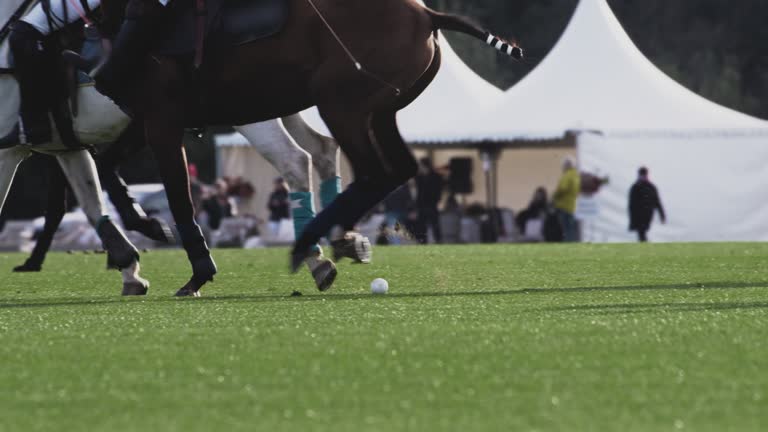 Polo game, slow motion. The players are holding a long-handled wooden mallet. The rider makes a successful kick, dribbles the ball