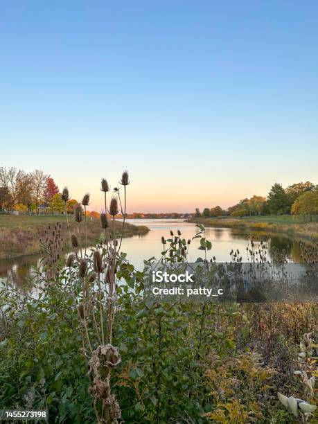 Lake At Dusk Stock Photo - Download Image Now - Milkweed, Autumn, Beauty In Nature