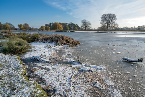 Icy lake  with a sprinkle of snow mid December in Surrey UK