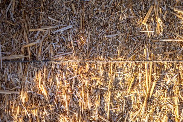 istock Bale of straw 1455274075