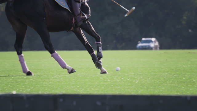 Polo game, two teams on horseback in slow motion. Horseback riding. Polo in the grass arena, equestrian sports in the stadium