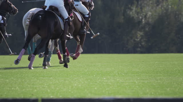 Polo game, two teams on horseback in slow motion. Horseback riding. Polo in the grass arena, equestrian sports in the stadium