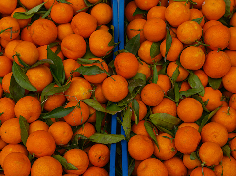 fresh oranges at the market