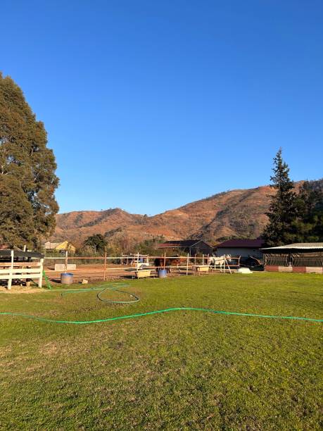 Horse and stable farm