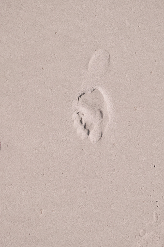 Vertical high angle photo of footprints in the sand walking on the beach towards a track next to coastal scrub forest in the distance. Jervis Bay, south coast NSW.