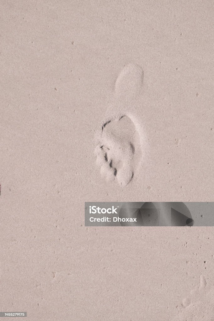 Beachwalk - footsteps in the sand an early morning Adventure Stock Photo