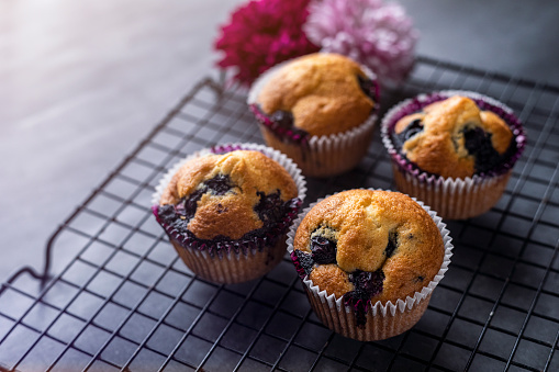 Homemade blueberry muffins on cooling rack and black background