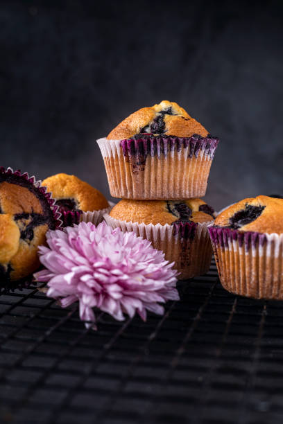 홈메이트 블루베리 머핀 - muffin blueberry muffin blueberry butter 뉴스 사진 이미지