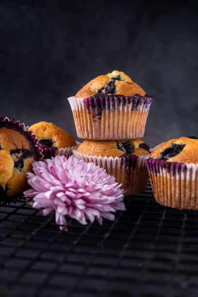 домашние черничный кексы - muffin blueberry muffin blueberry butter стоковые фото и изображения