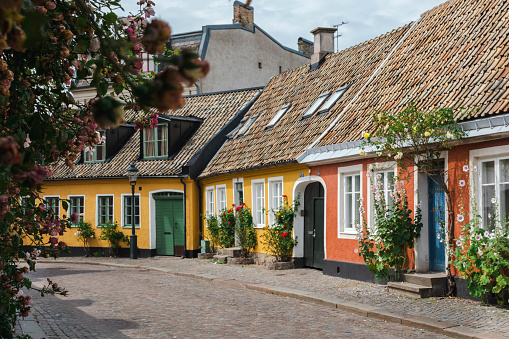 Typical, historic street in the inner city of Lund (southern Sweden). In front of most of the houses are hollyhocks in bloom